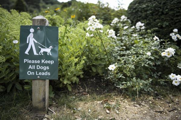 REMINDER: ALL DOGS TO REMAIN ON LEASHES